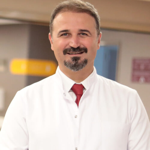 Prof. Dr. Ayhan Dinçkan liva hospital turkey