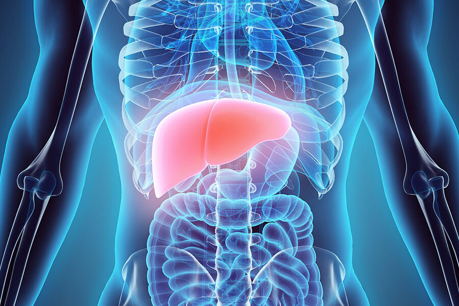 عملية نقل الكبد